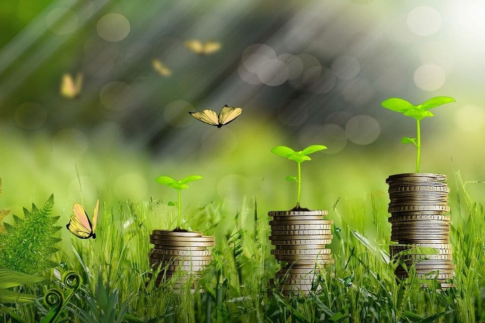 Economics and Policies of Climate Change