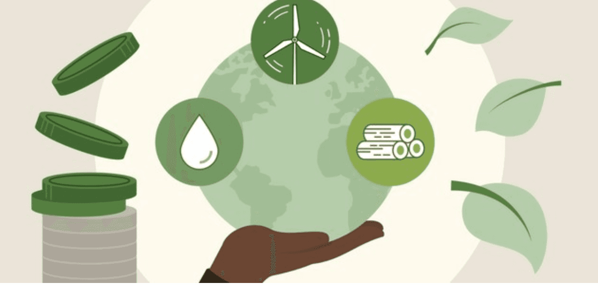 Natural Resources: Policies and Revenues