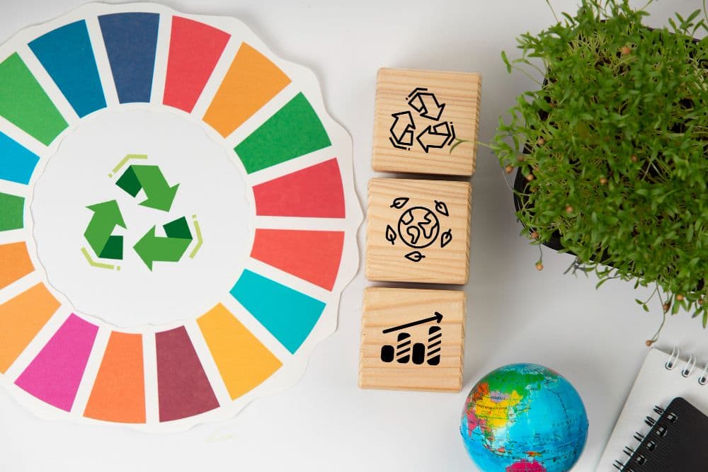 What is Sustainability Reporting? Meaning, Types, and Benefits