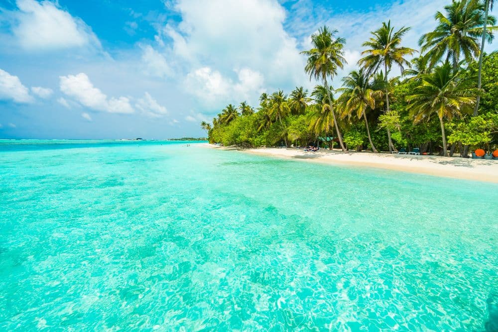 Bank of America Boosts Nature and Ocean Conservation