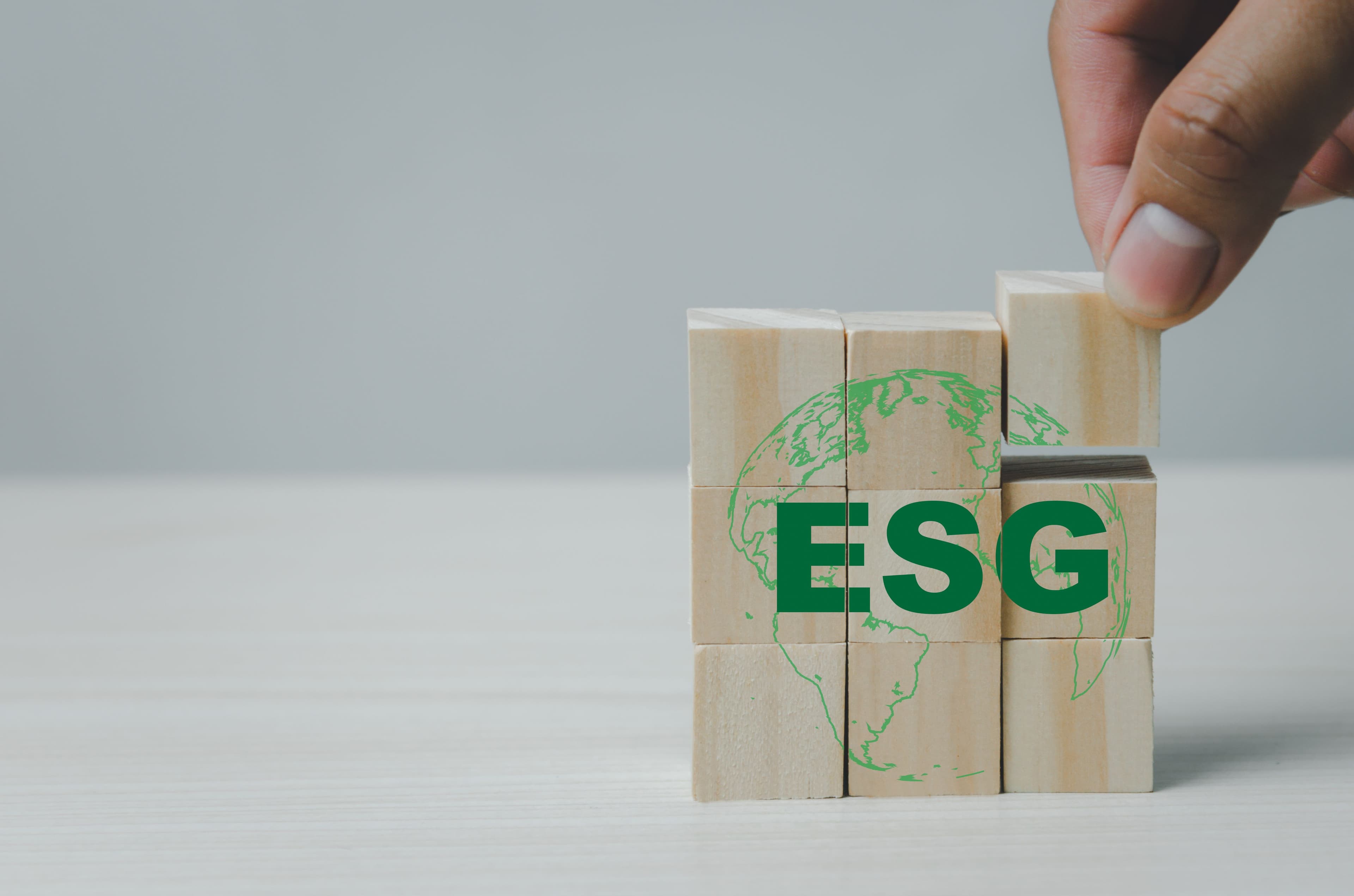 Nurturing Sustainability: The Transformative Power of Combining Investor Stewardship with ESG Engagement