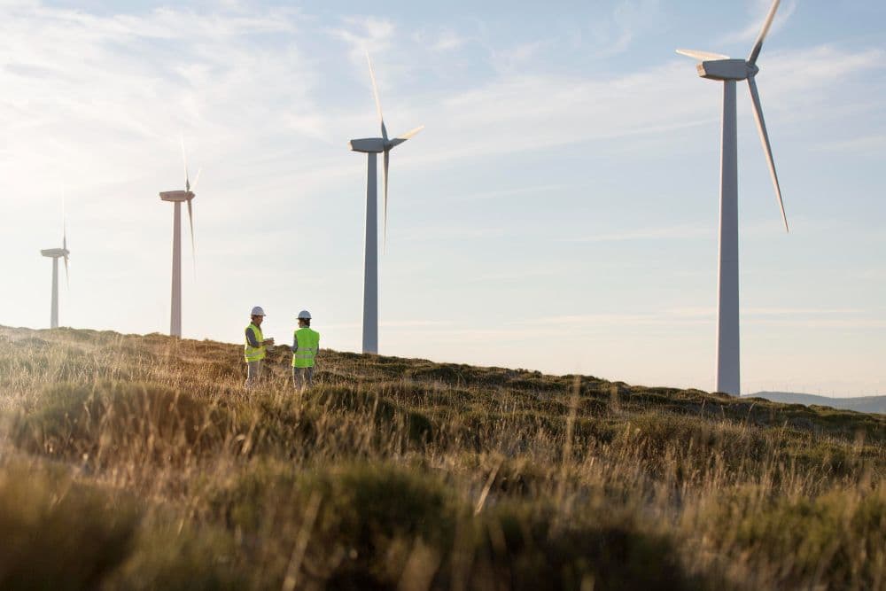 Evonik Cuts CO2 with Green Energy for ROHACELL® Foam