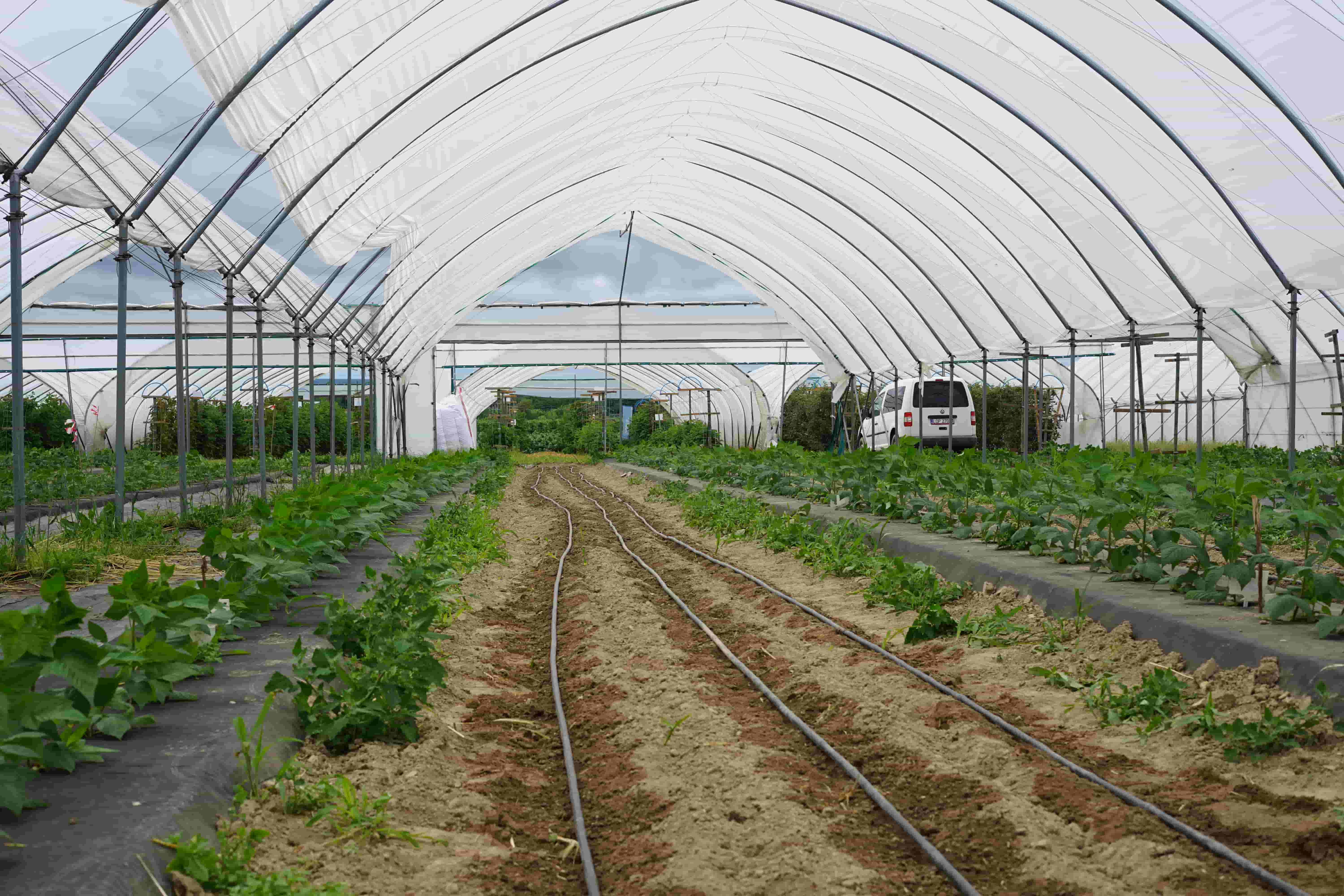 Why Sustainability Teams Need to Understand Water Scarcity in Agricultural Supply Chains