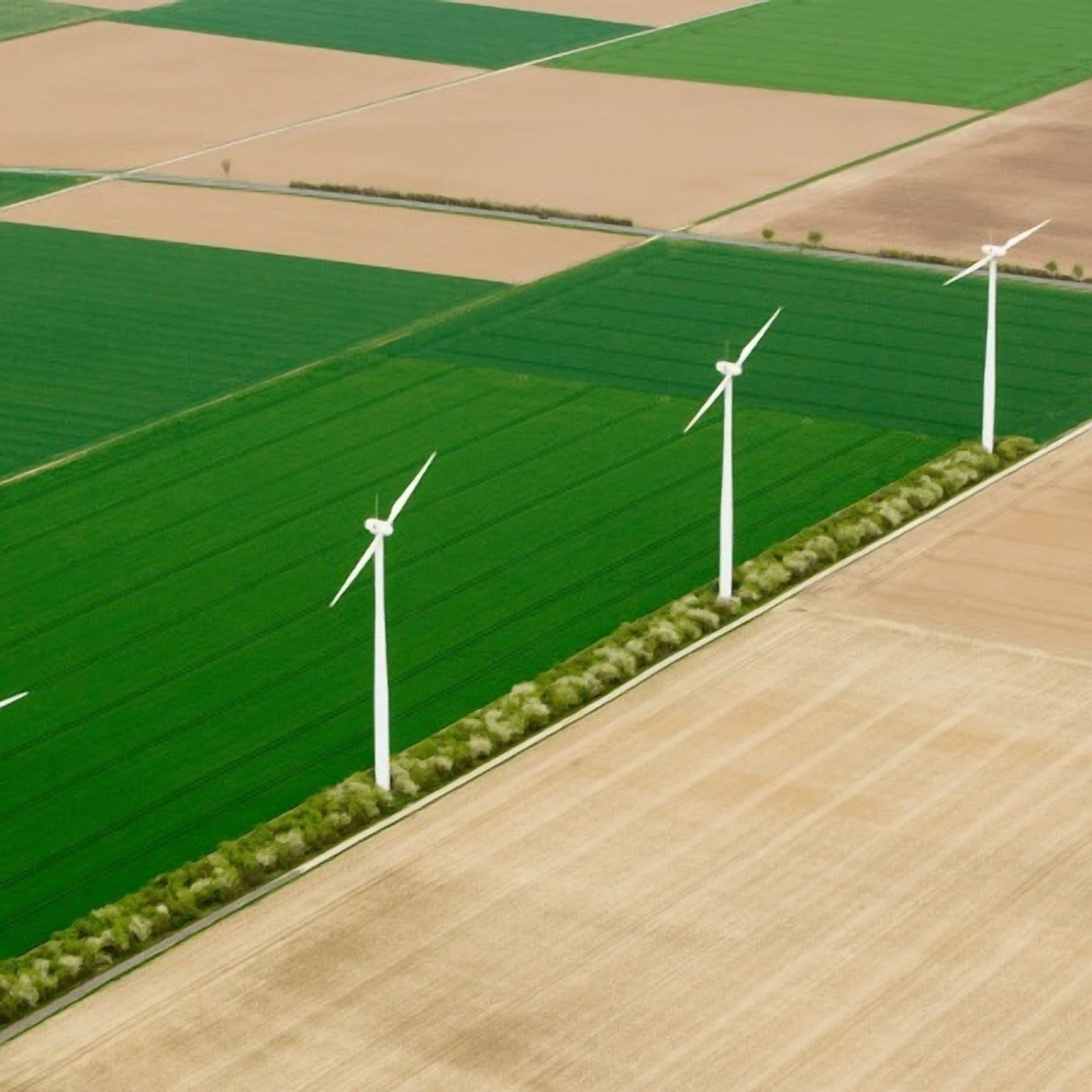 IBM's 2022 Impact Report Released