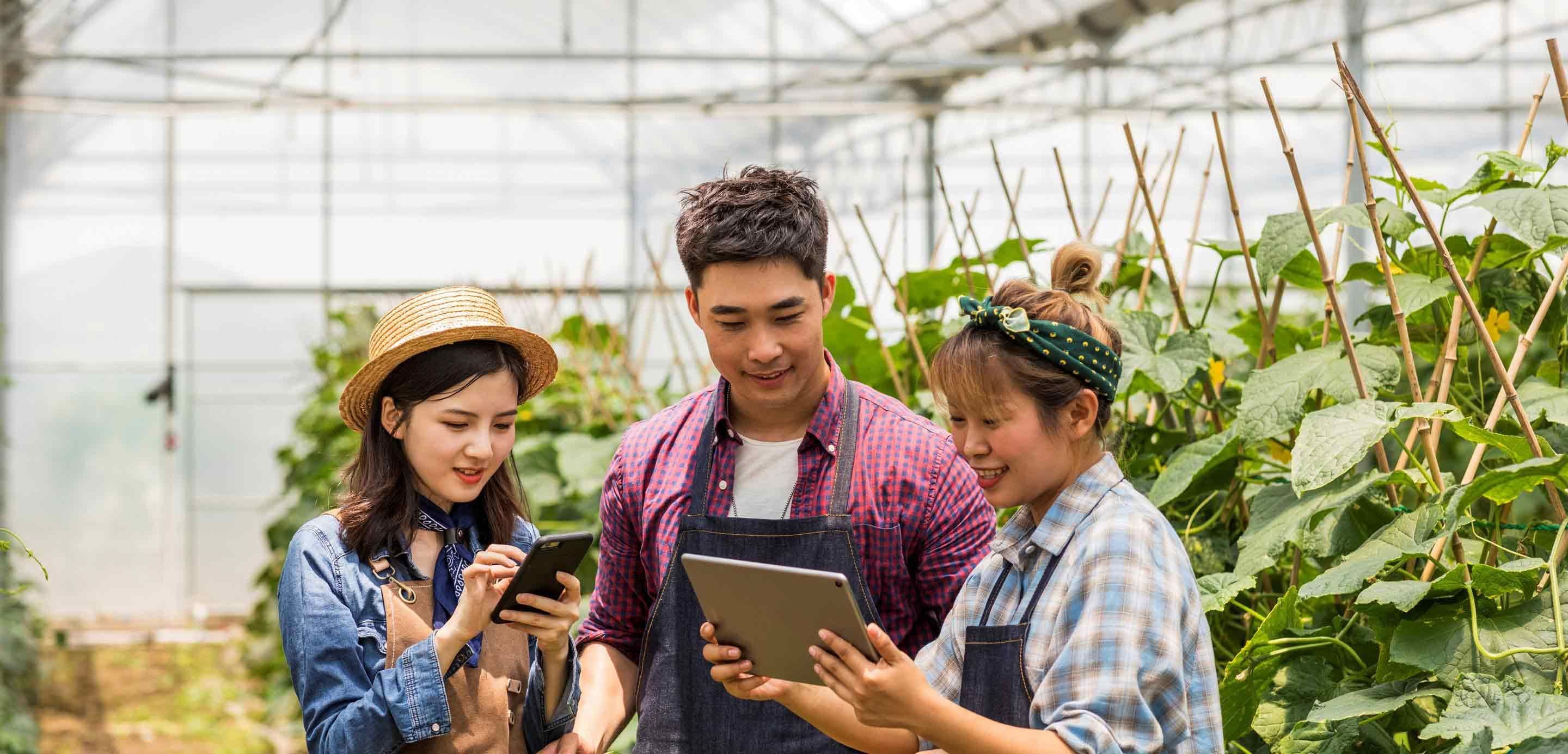 Study: Decline in ESG Initiatives Among Singapore SMEs