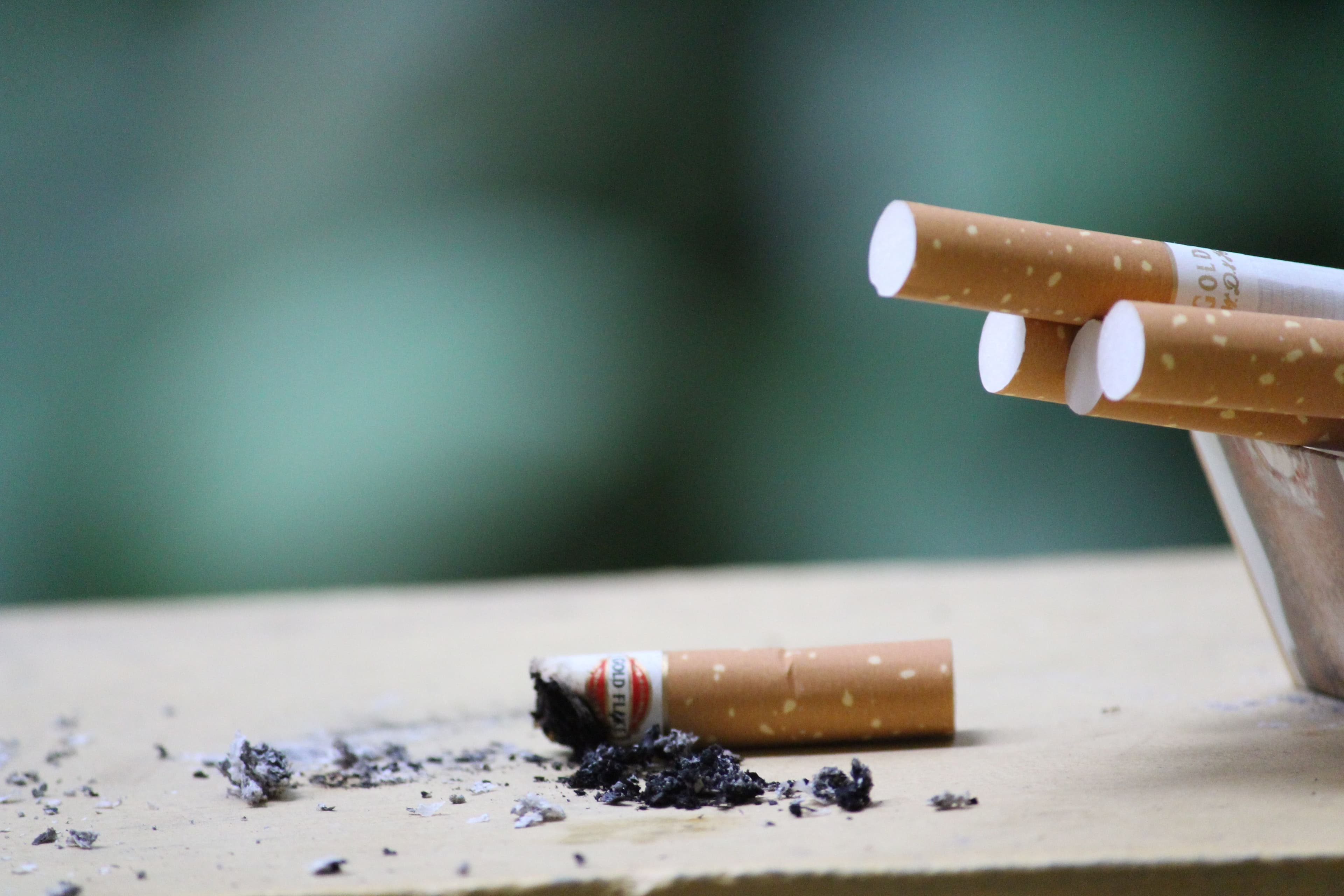 WHO Concerned about Tobacco Industry's Environmental Impact and Human Health