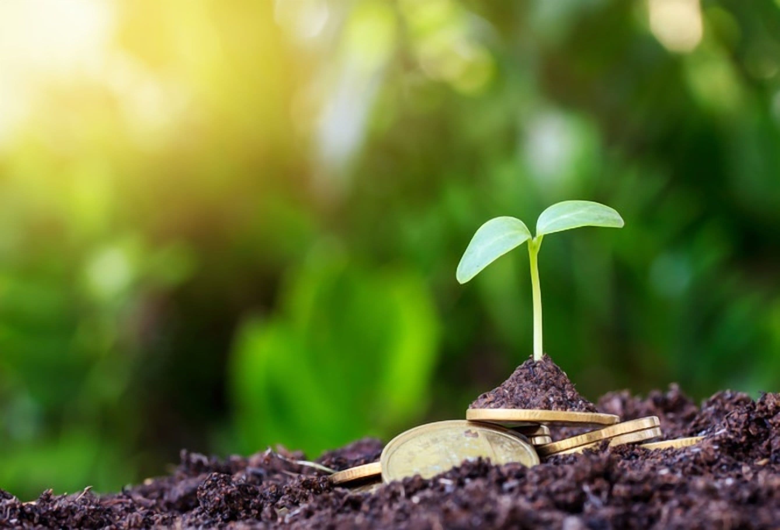 TAQA Abu Dhabi Creates Green Finance Framework