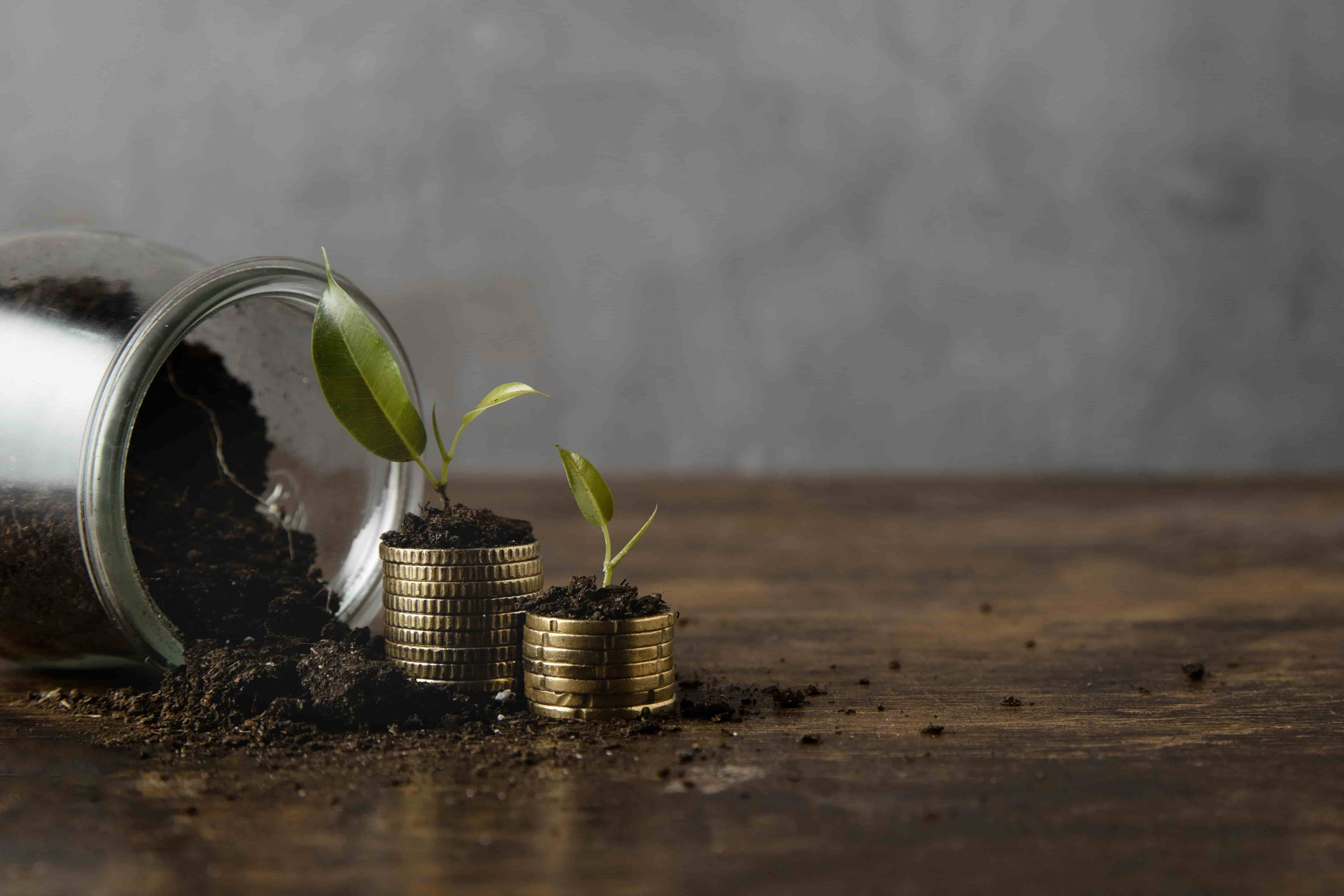 BNP Paribas AM Launches ESG-Focused Equal Weight ETF