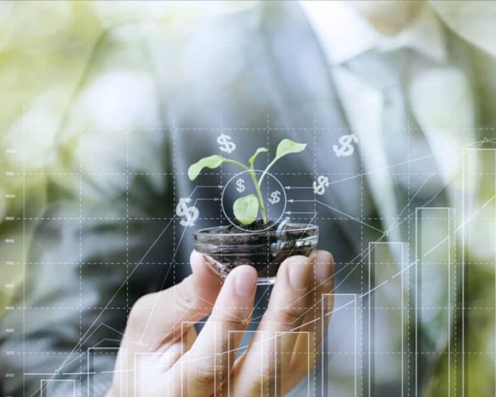 Sustainable Real Estate: Creating a Better Built Environment