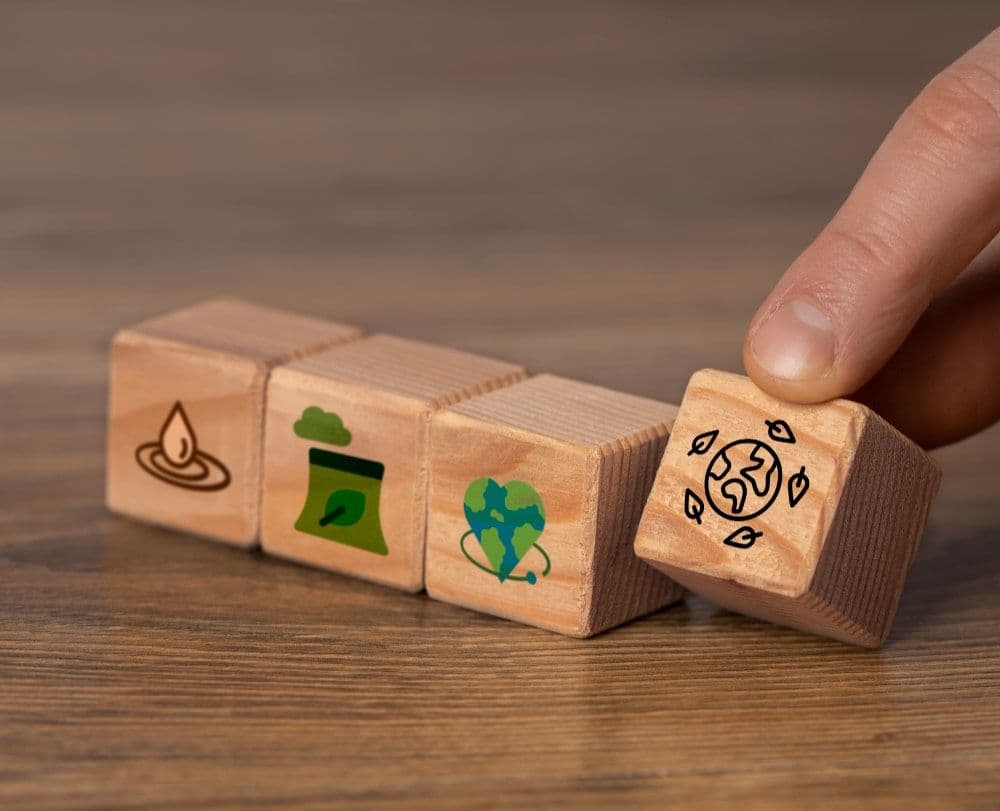 Verra to Support Carbon Markets in Amazonas