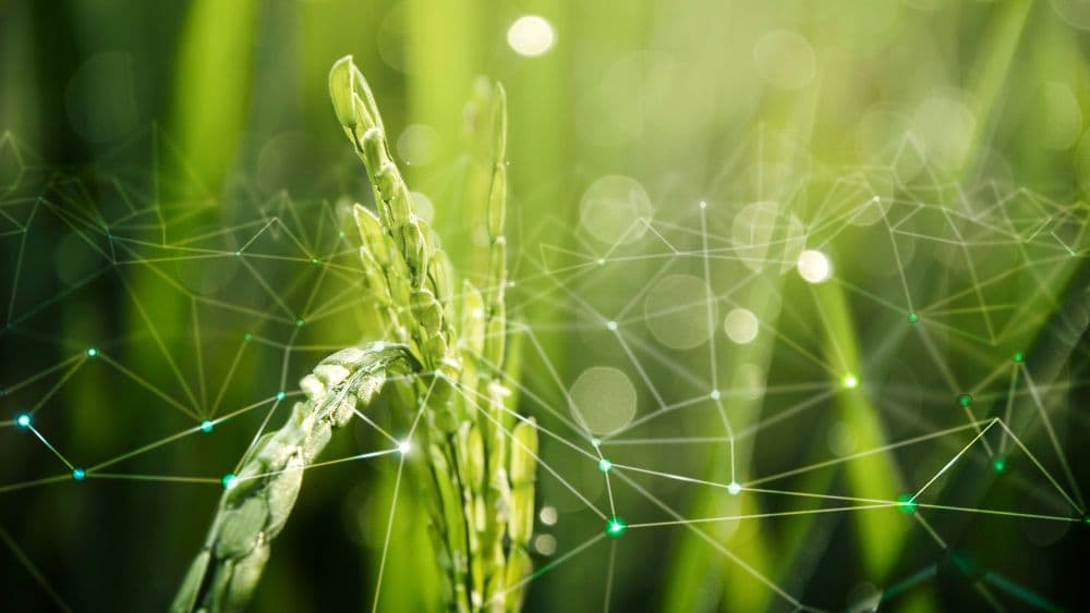 Covia Issues Eighteenth Successive ESG Report
