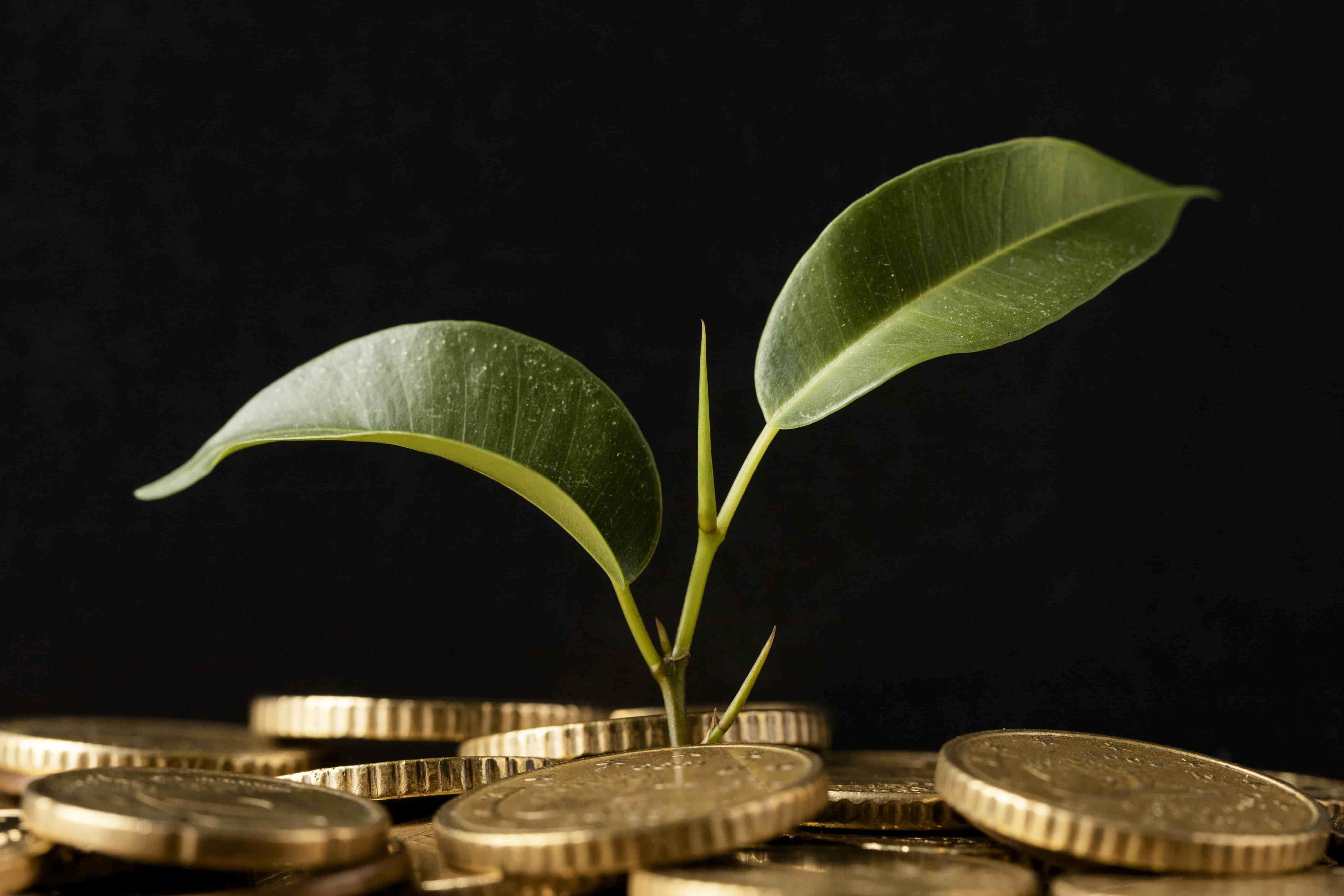 ESG Investing Under Fire: Politics, Performance, and Greenwashing