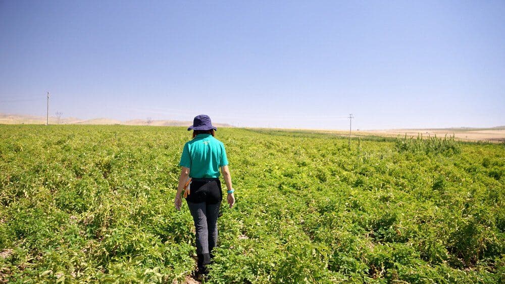 PepsiCo Speeds Up Sustainability Efforts in 2023 Report