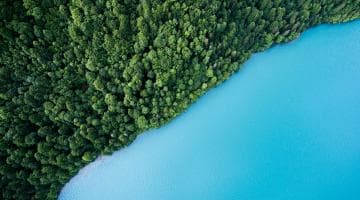 Introduction à l'Économie Verte