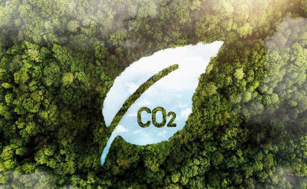 Understanding Carbon Accounting: A Practical Guide for 2025