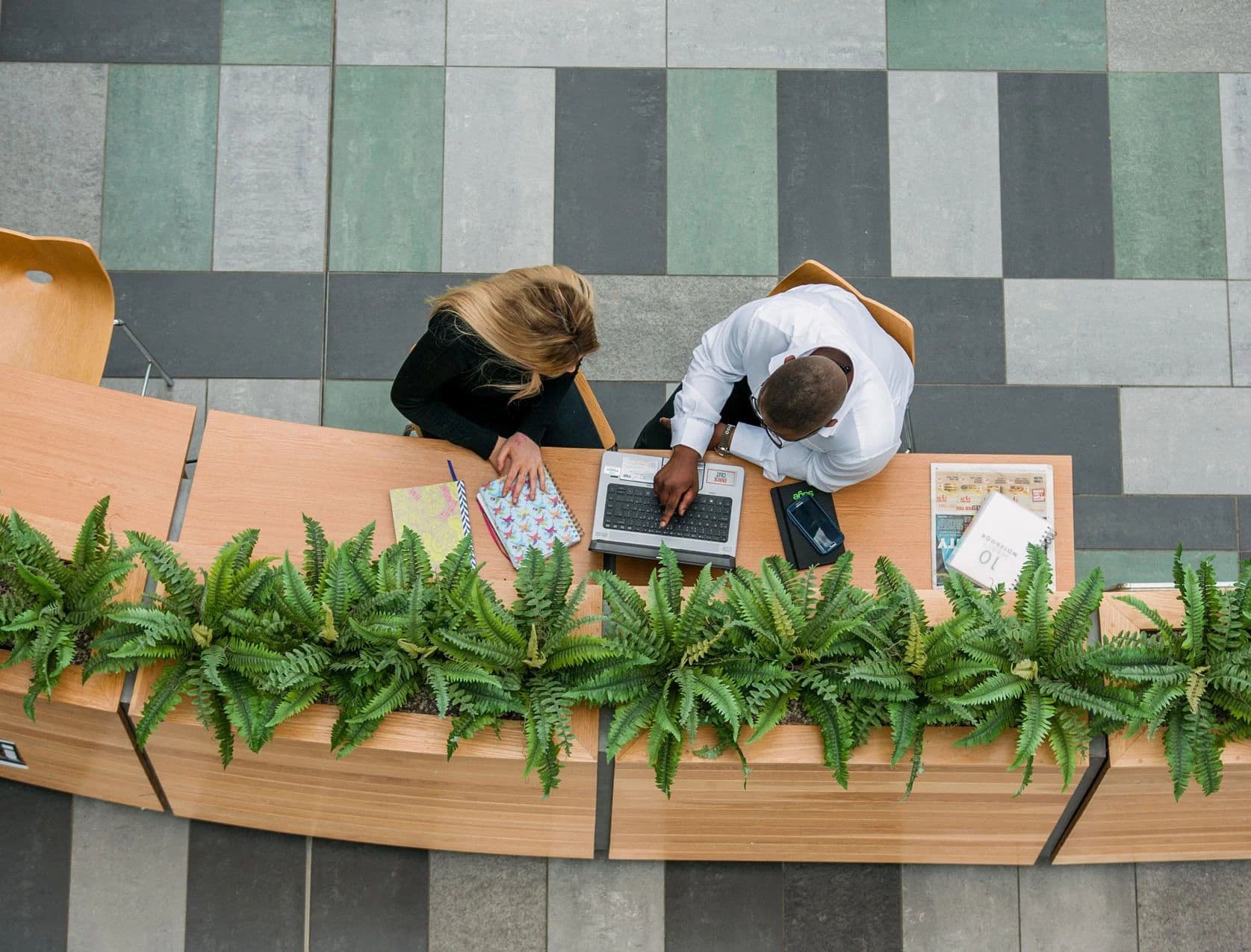 Sage Launches Carbon Measurement API for SMEs and Banks