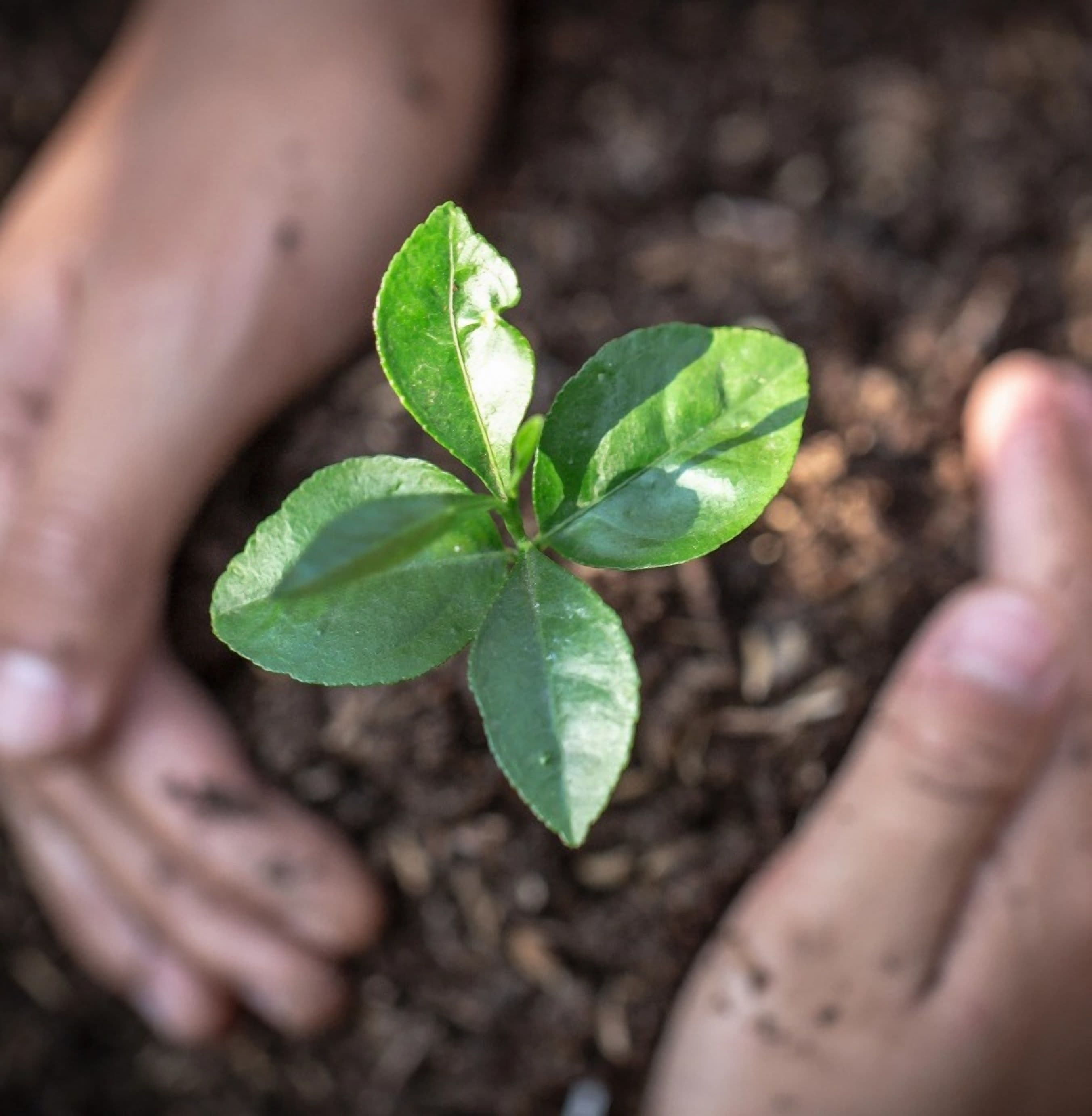 WNS Publishes its Third ESG Report
