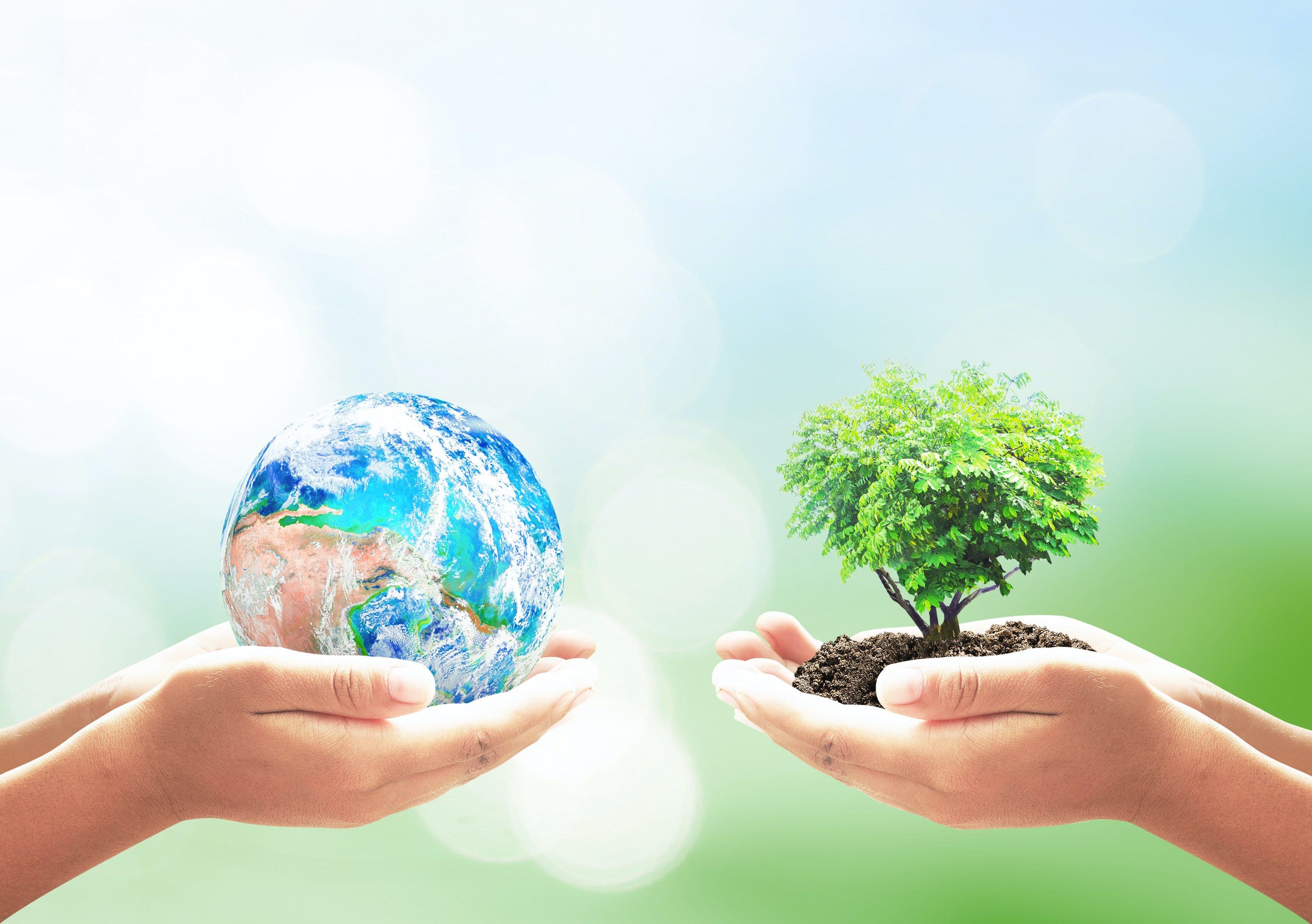 Earth Day Roundup: Alibaba To Share Green Patents; Lazada Says No to Plastic! Ele.me Rolls Out Low-Carbon Points Program