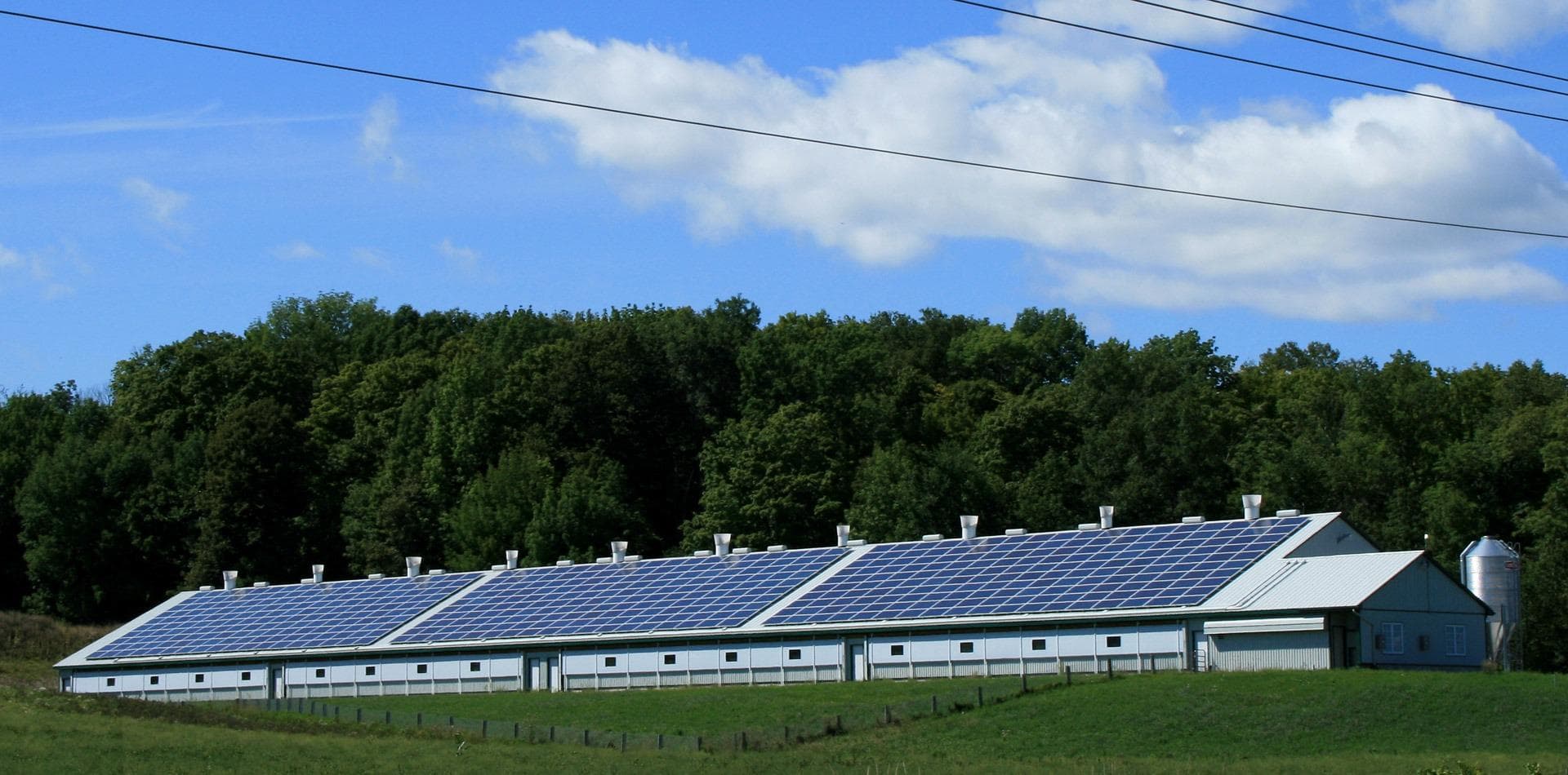 Are We Doing Enough to Save Our Environment?