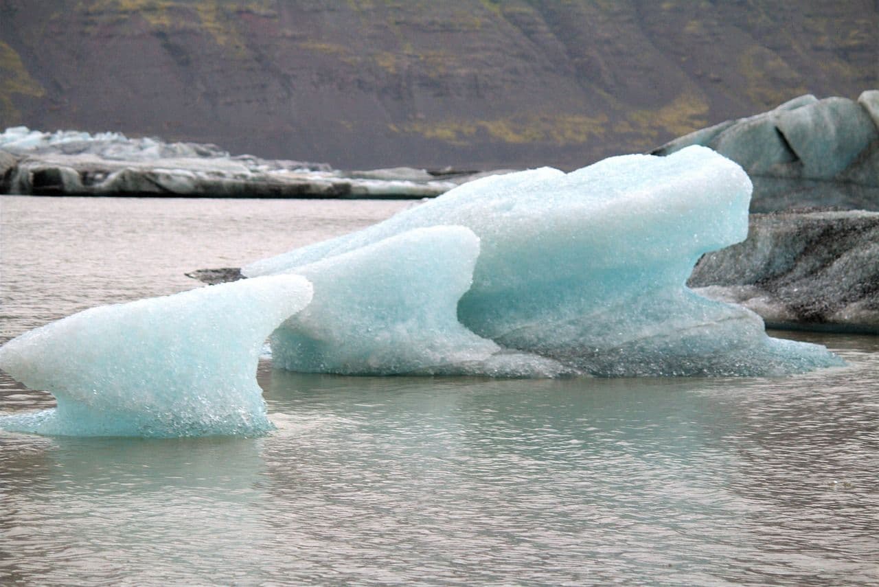 Climate Solutions: The World’s First ESG & Sustainability Marketplace