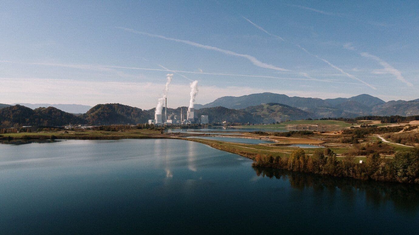 Chestnut Raises $160M to Scale Carbon Removal Initiatives