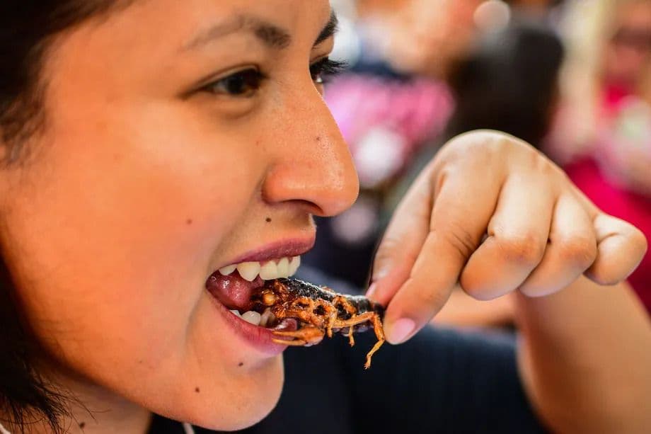 Consuming Lab-Grown Meat and Insects Benefits Planet