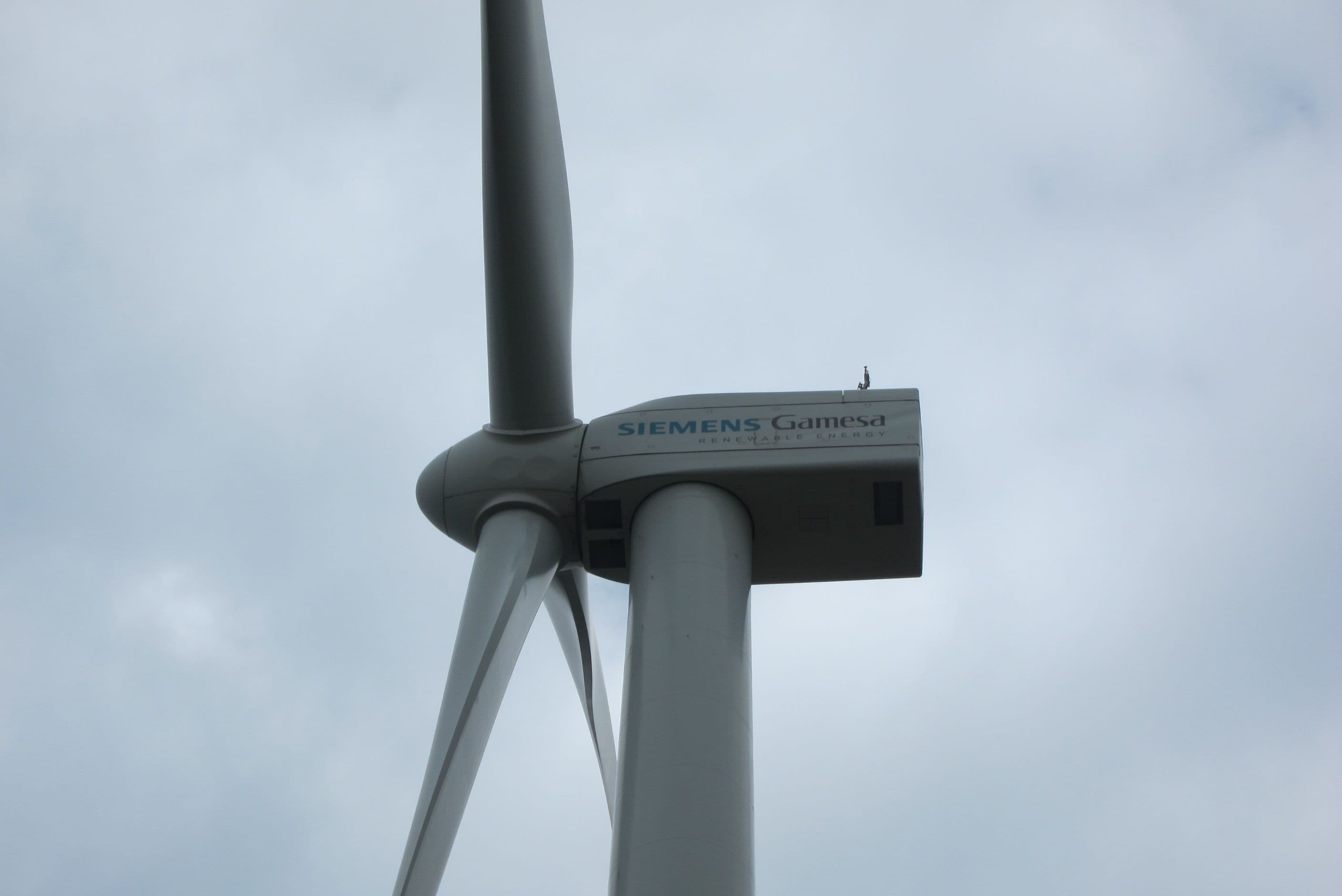 Siemens Gamesa Gets High Score in ESG Ratings