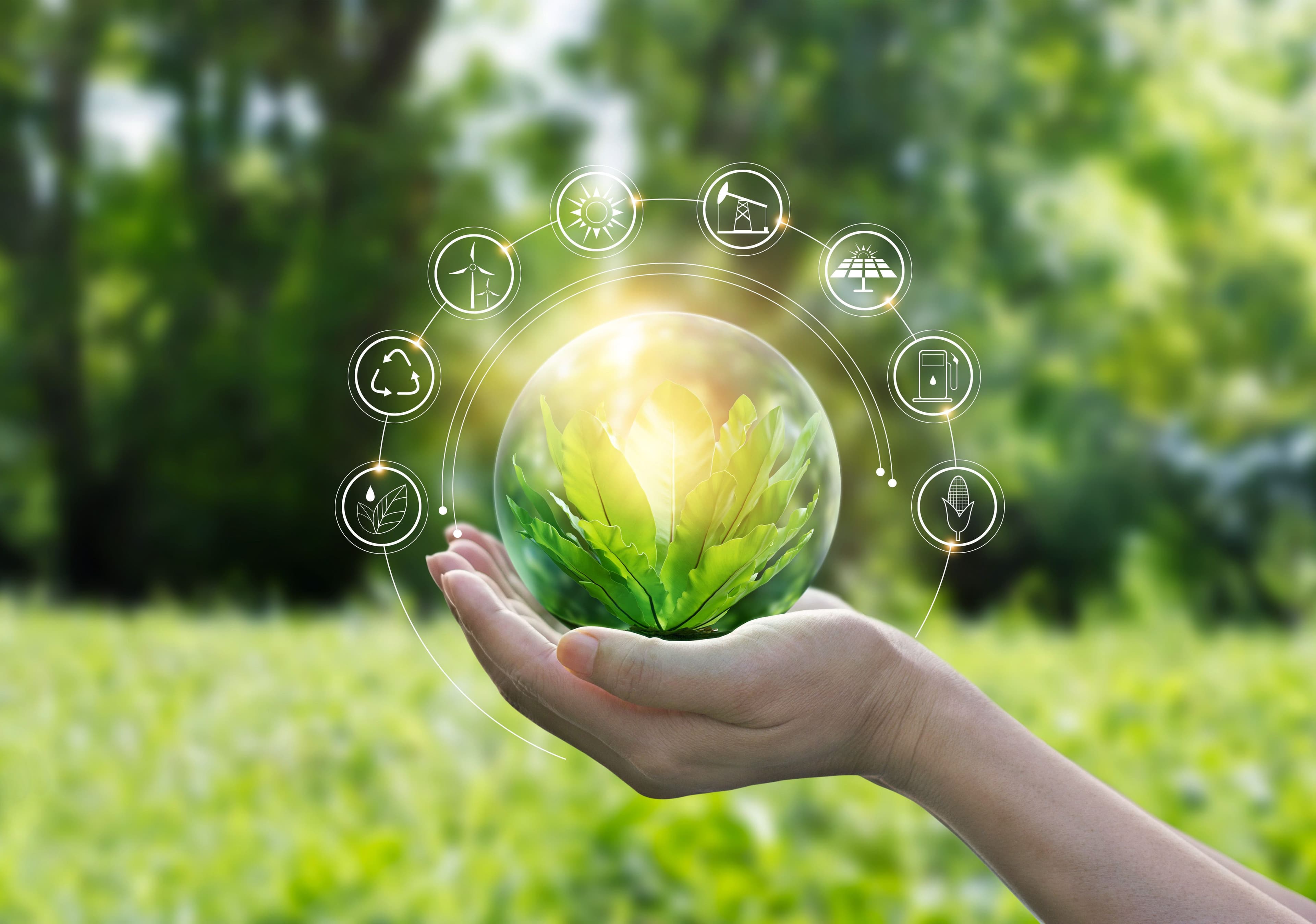 Adani Transmission Aims to Become Net Zero by 2050