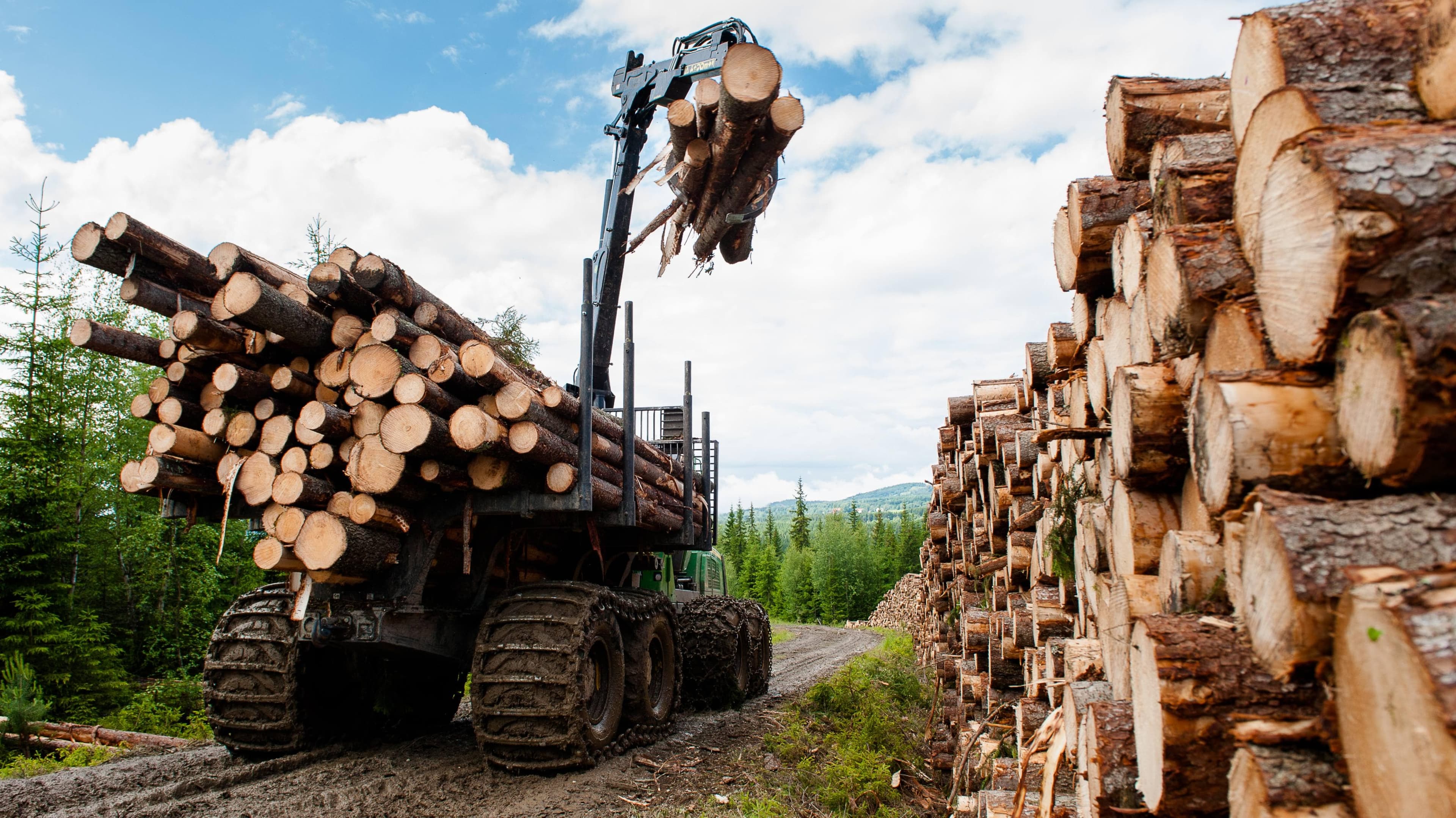 Enviva Supports REDIII and Biomass as 100% Renewable