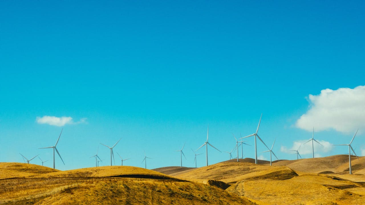 Effective Guide To Sustainability Reporting