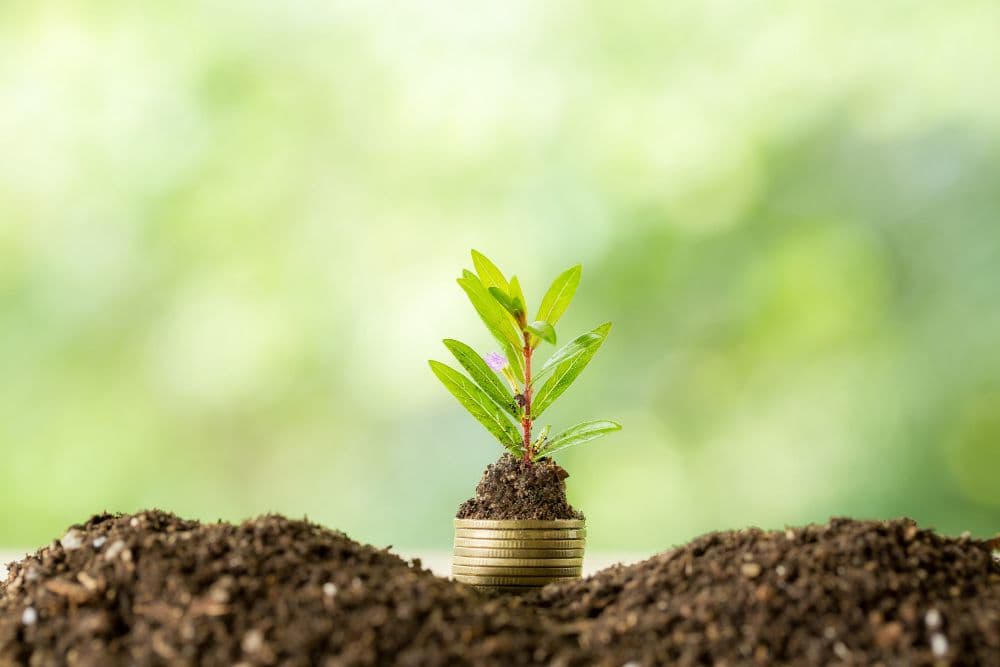 Plug and Play Fund for Startups Tackling Climate Crisis