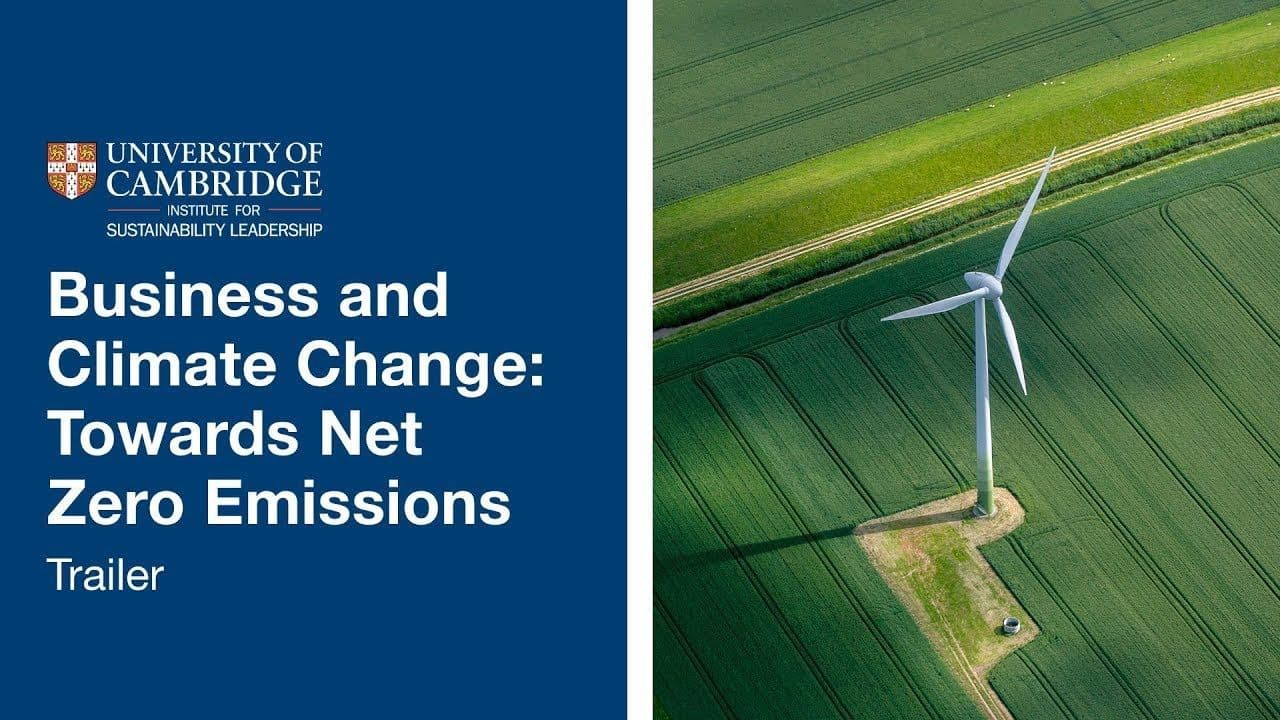 Business and Climate Change: Towards Net Zero Emissions
