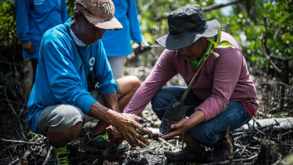 ADB's Record $10B Climate Finance in 2023