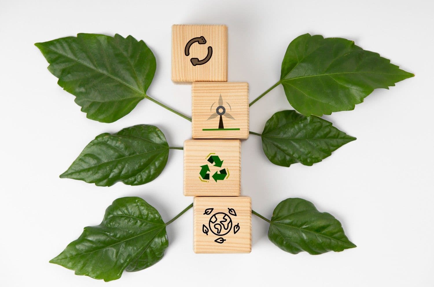 Professional Sustainability Certifications Guide