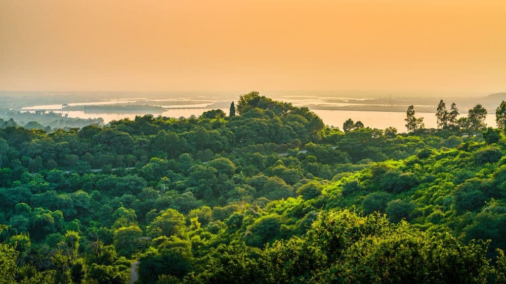 Climate Action Body Greenlights Kier's Carbon Targets