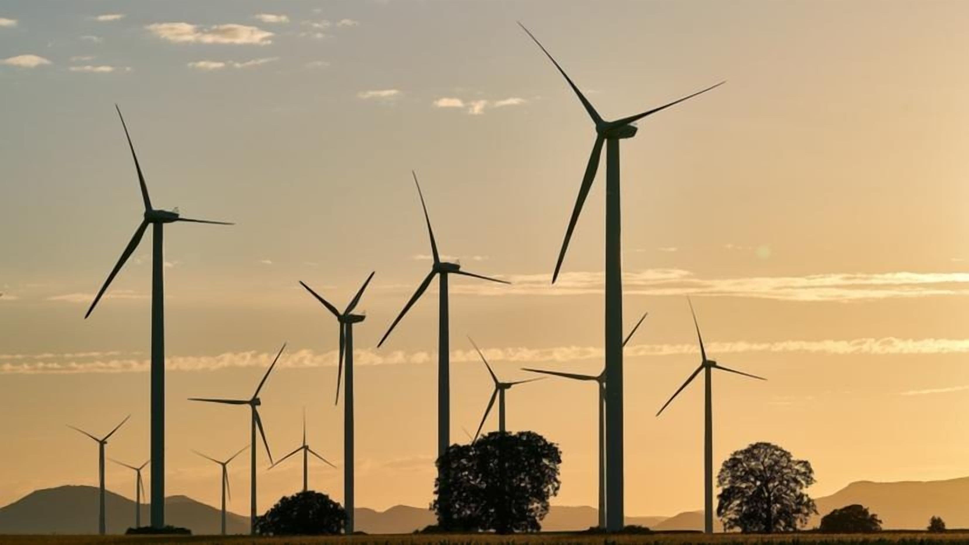 ASIC Investigates 100+ Firms for Greenwashing