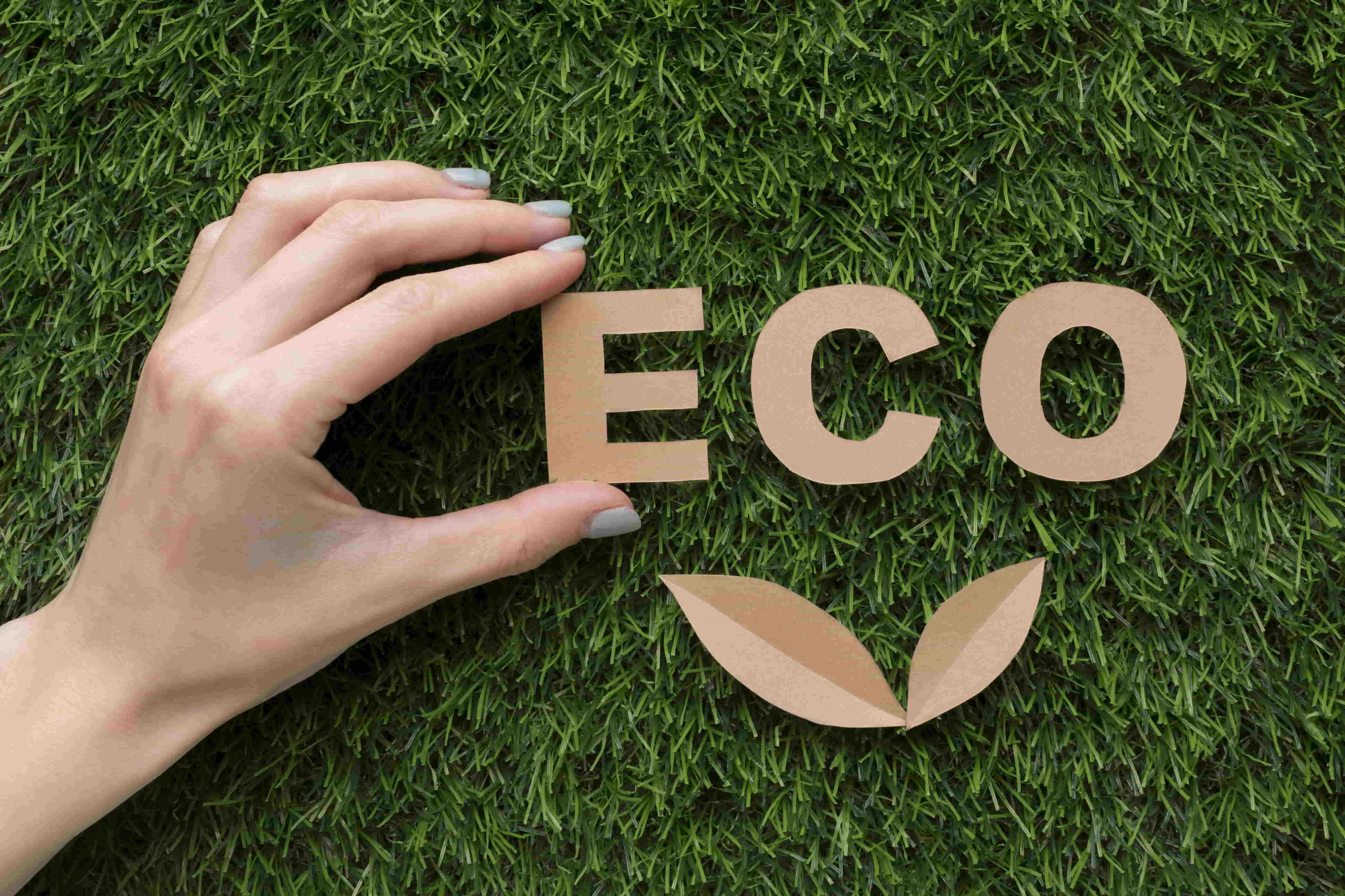 Greenwashing Crackdowns: How Regulators Are Holding Companies Accountable