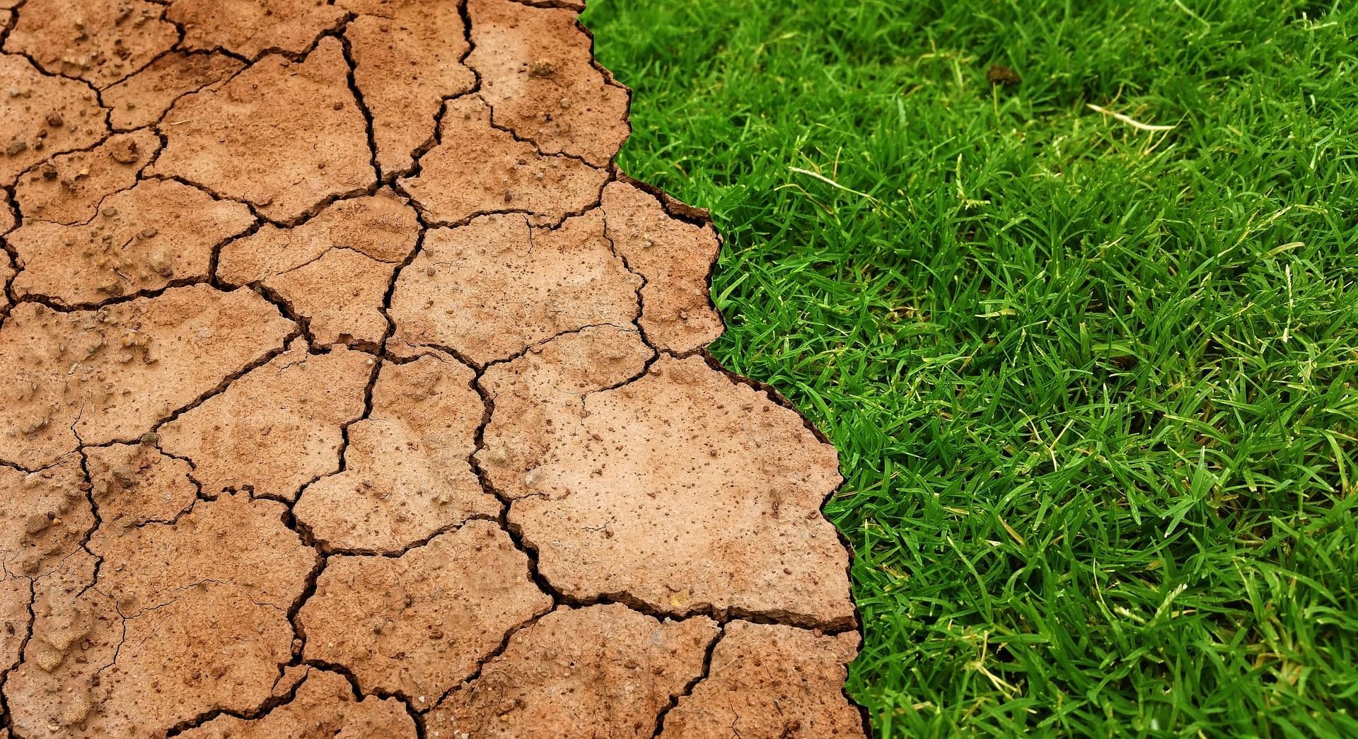 The Relevance Of Climate Treaties For Business