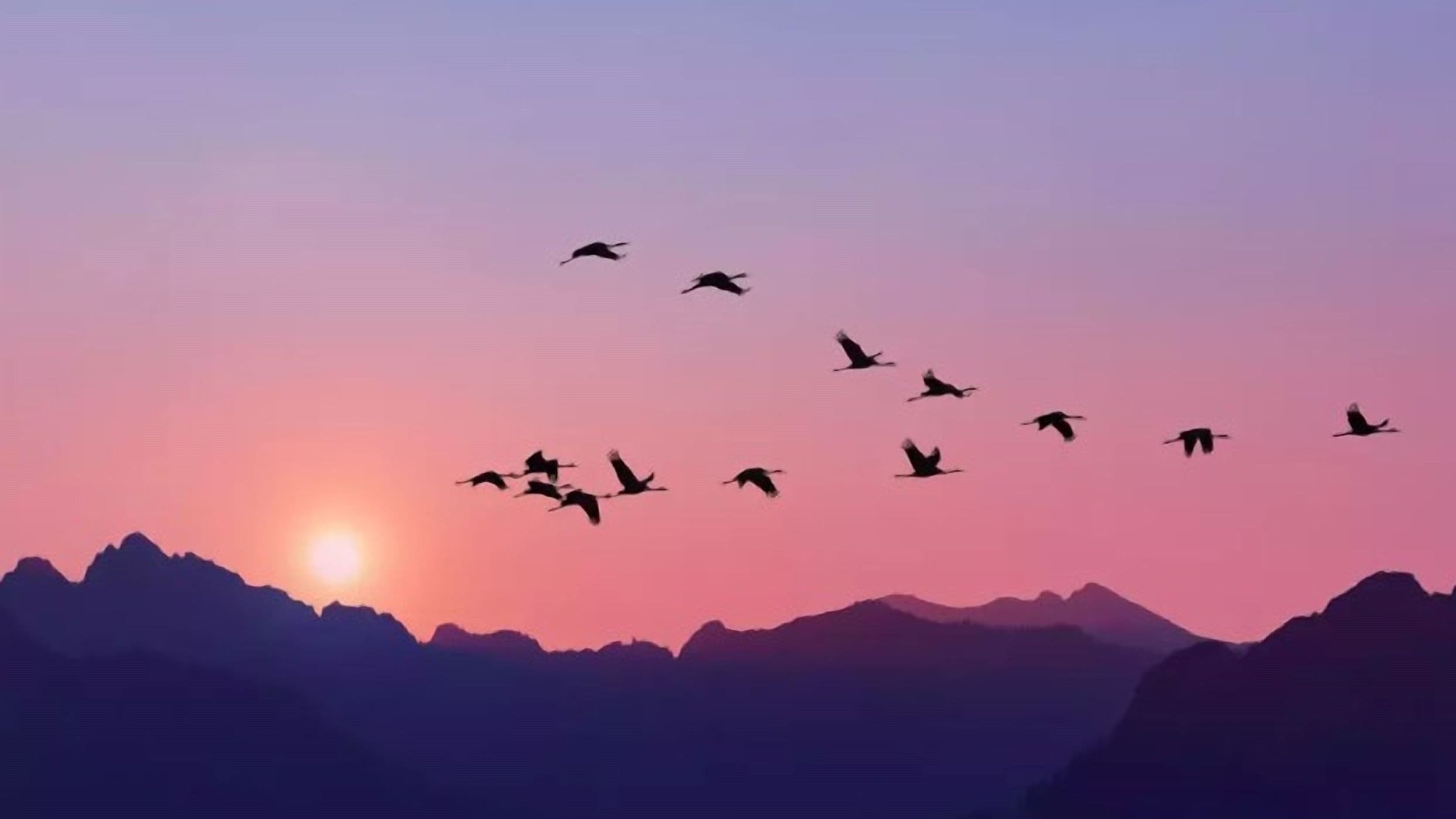 Schroders Capital's LTAF to Support Climate Goals