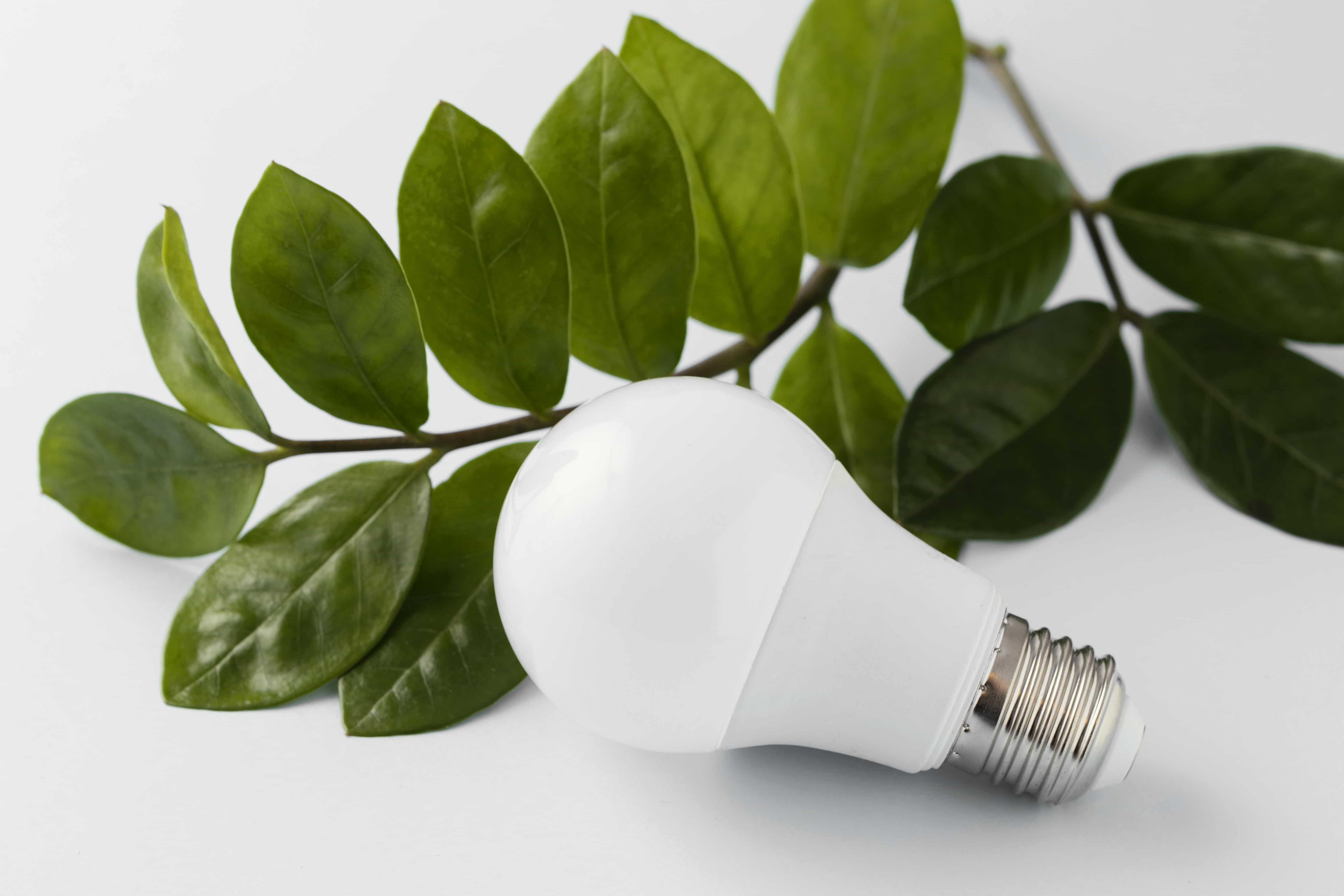 Sustainable Lighting Gets Smarter: Malaysia Launches ESG Light for Digital Agriculture