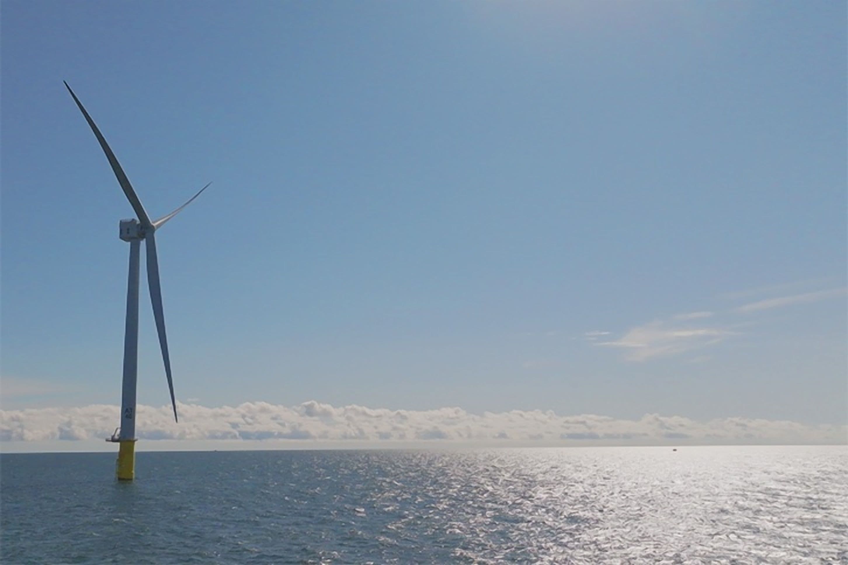 IFC Backs Iberdrola's Bid to Green Emerging Markets