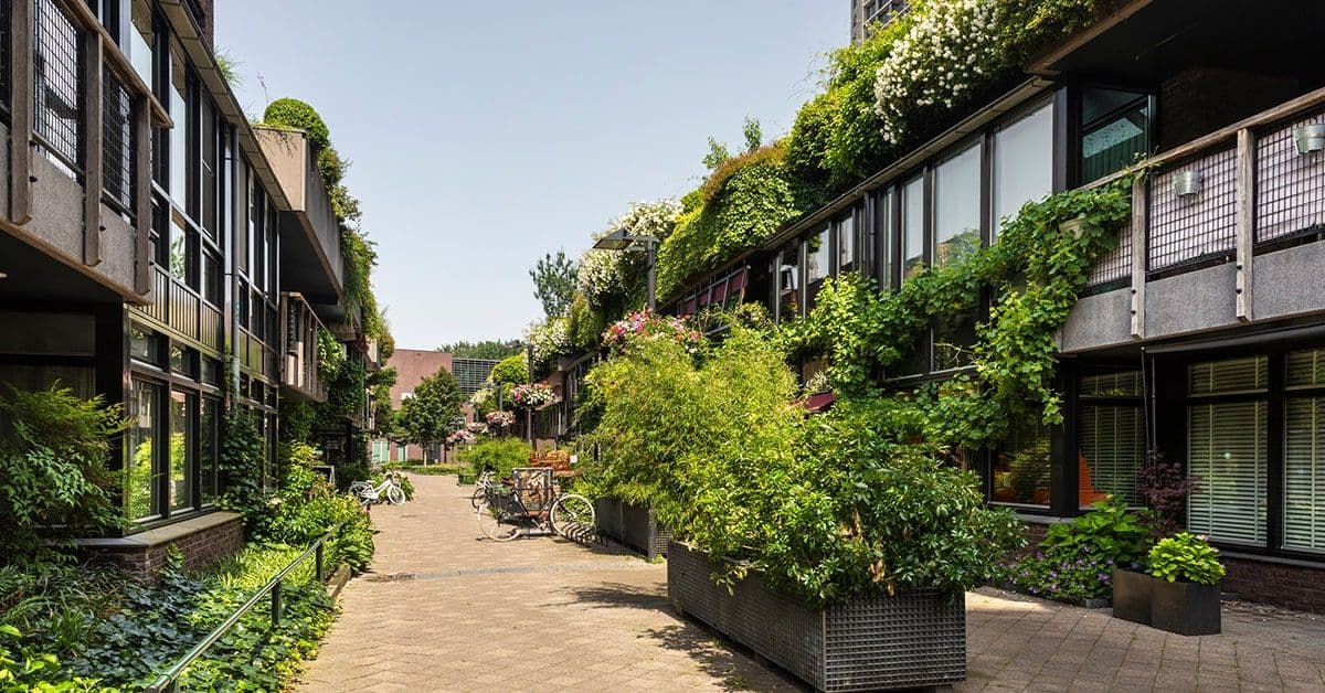 Central Europe Towards Sustainable Building 2025