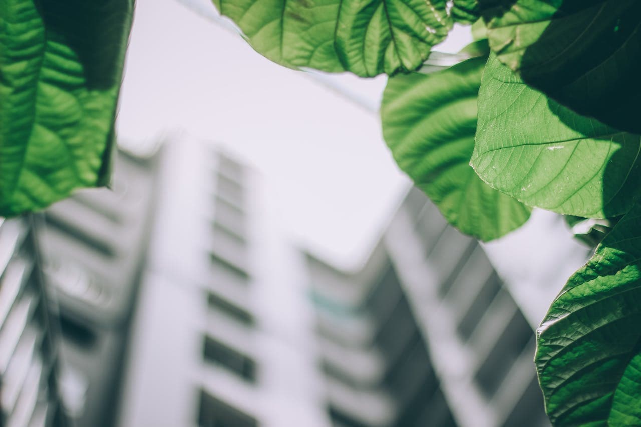 Saudi Arabia Emerges as Green Building Leader