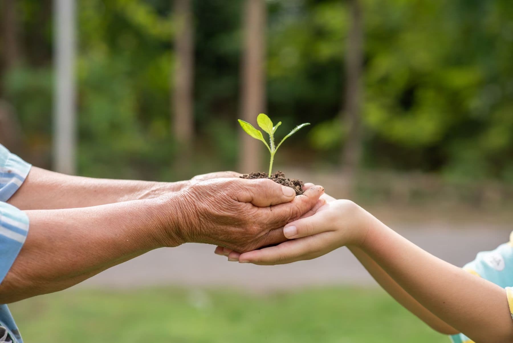 Sustainable Living Is Something We Can All Enjoy. Here’s How