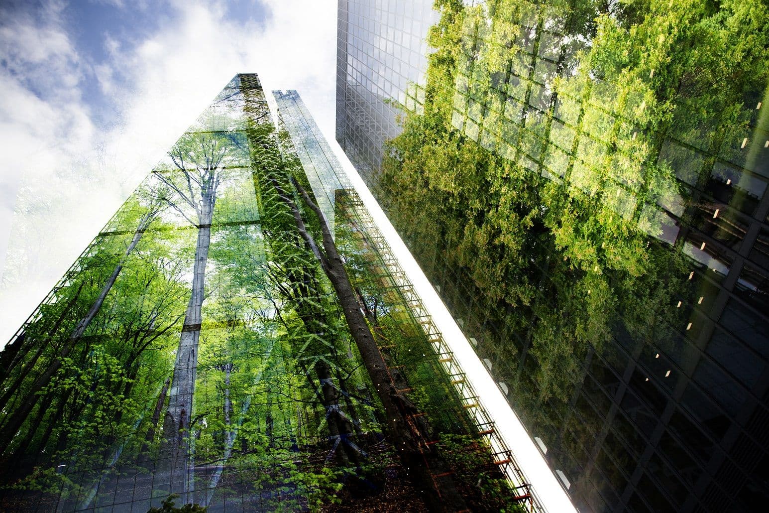 Companies Want Green, But Struggle to Do, Says Study