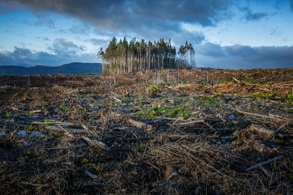 Climate Change: Solutions Course