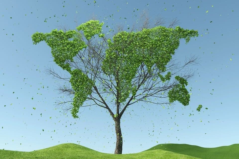 The Great Sustainability Transition: Global challenges, Local actions