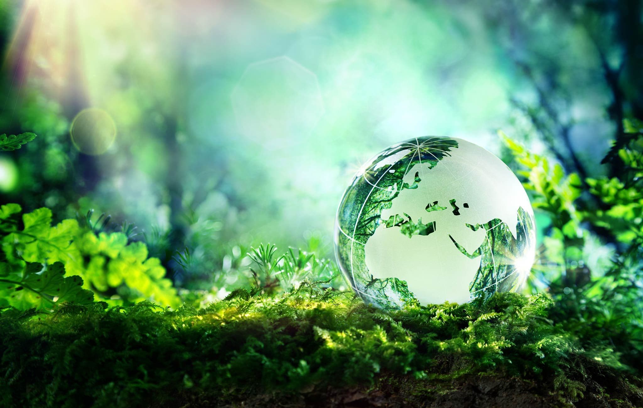 Sustainable Fitch Provides ESG Ratings for Global Labelled Structured Bonds