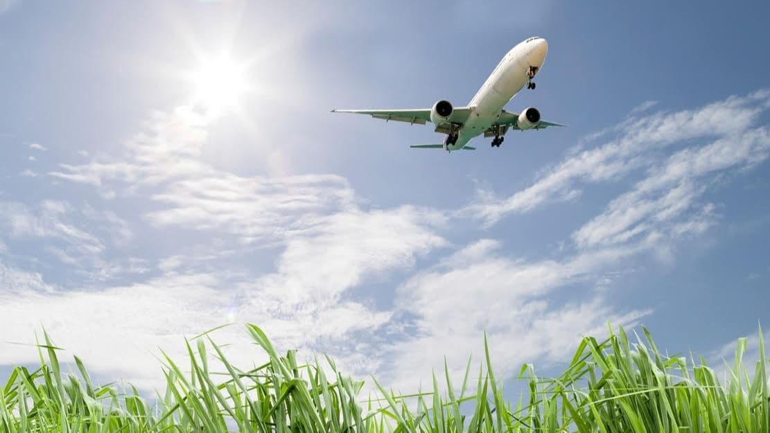 LATAM Cargo, Kuehne+Nagel, Elite Flower Commit to SAF