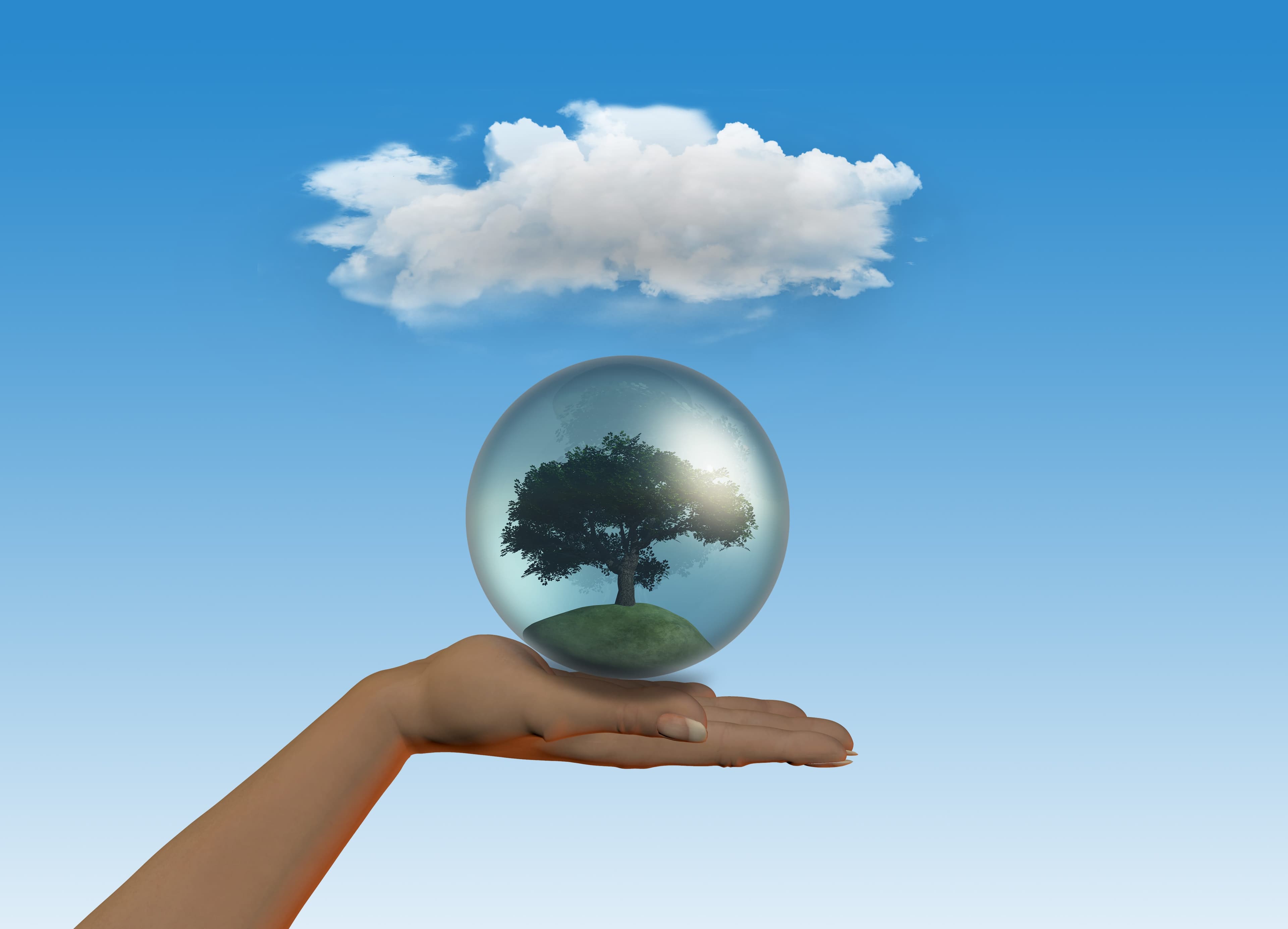 Corporate Boards Split on DEI, Climate, and AI Issues